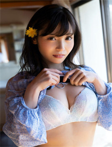 山菊花