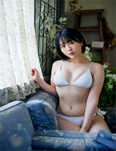垄断暴力