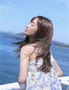 av 狼-86小说网